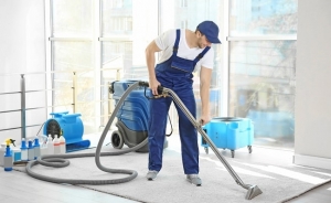 From Dull to Dazzling Unmatched Carpet Cleaning Services